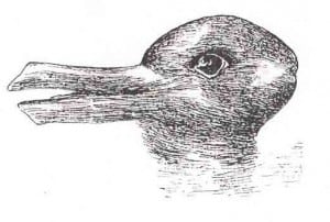 Rabbit Duck